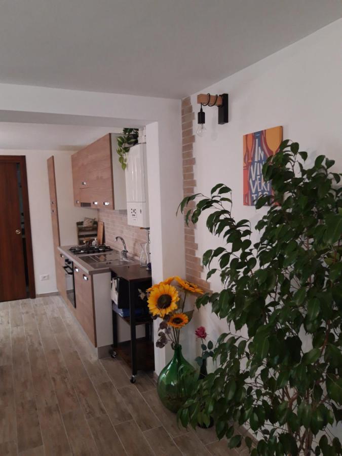 In Vino Veritas Sulmona Exteriér fotografie