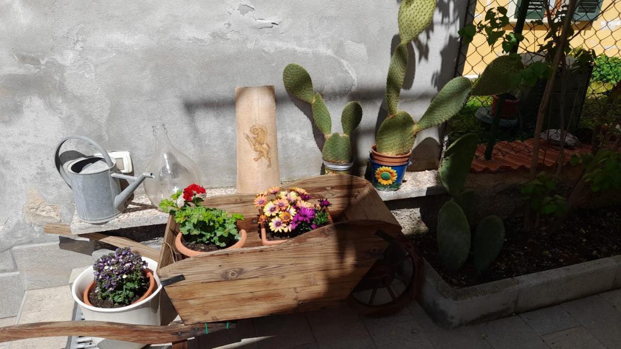 In Vino Veritas Sulmona Exteriér fotografie