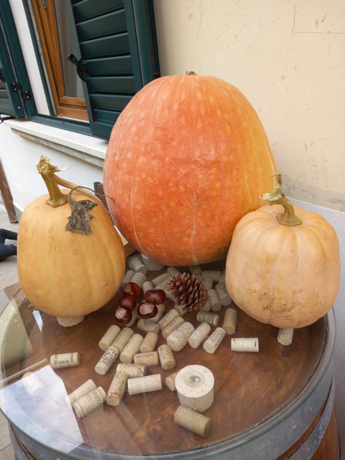 In Vino Veritas Sulmona Exteriér fotografie