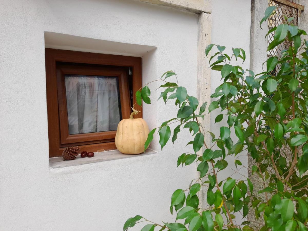In Vino Veritas Sulmona Exteriér fotografie